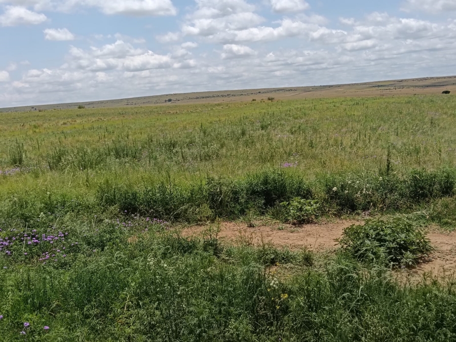 0 Bedroom Property for Sale in Lindley Rural Free State